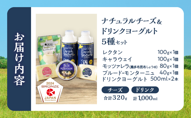 【おおともチーズ工房】《人気の乳製品セット!!》ナチュラルチーズ＆ドリンクヨーグルト5種セット_H0003-038