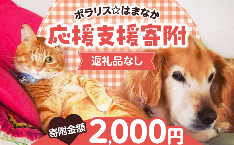 【動物愛護ボランティア】浜中町「ポラリス☆はまなか」を支援　2000円分 返礼品なし_H0048-002