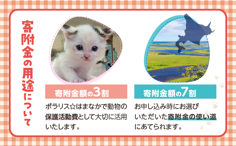 【動物愛護ボランティア】浜中町「ポラリス☆はまなか」を支援　10000円分 返礼品なし_H0048-006