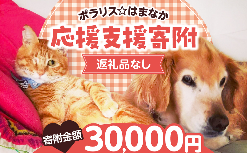 【動物愛護ボランティア】浜中町「ポラリス☆はまなか」を支援　30000円分 返礼品なし_H0048-007