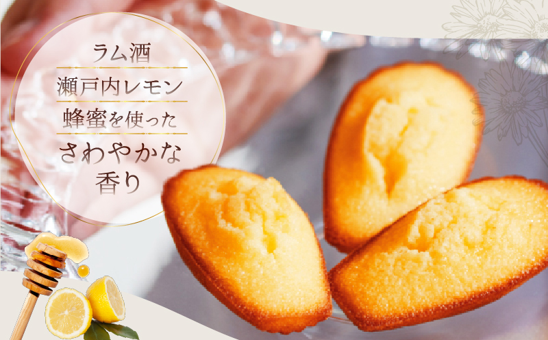 【着日指定できます!!】アンリ・シャルパンティエ『フィナンシェ・マドレーヌ詰め合わせ(12個入り)』_H0030-116