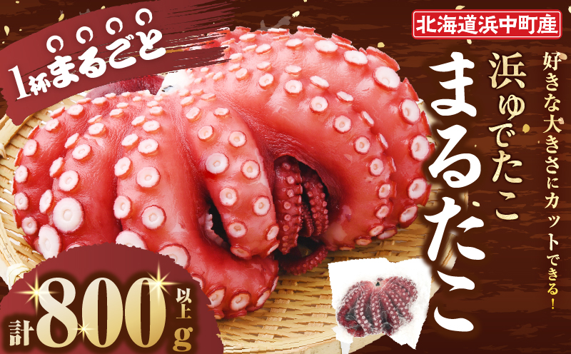【令和8年2月発送分】浜ゆでたこ「まるたこ」たこ 一匹 一杯 刺身 海産物 魚介類 海鮮 北海道 _H0023-061-R802