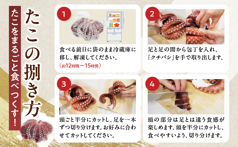 【令和8年2月発送分】浜ゆでたこ「まるたこ」たこ 一匹 一杯 刺身 海産物 魚介類 海鮮 北海道 _H0023-061-R802