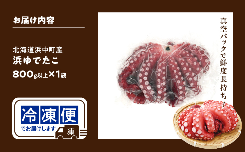 【令和8年2月発送分】浜ゆでたこ「まるたこ」たこ 一匹 一杯 刺身 海産物 魚介類 海鮮 北海道 _H0023-061-R802