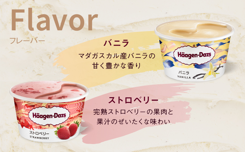 ãã¡ãŒã«ã§å±ããããŒã²ã³ããã ã¢ã€ã¹ã¯ãªãŒã ãã³ã³ãã亀æå°çšãã±ããã4å亀æïŒã»ãã³-ã€ã¬ãã³ïŒã_H-svgift004