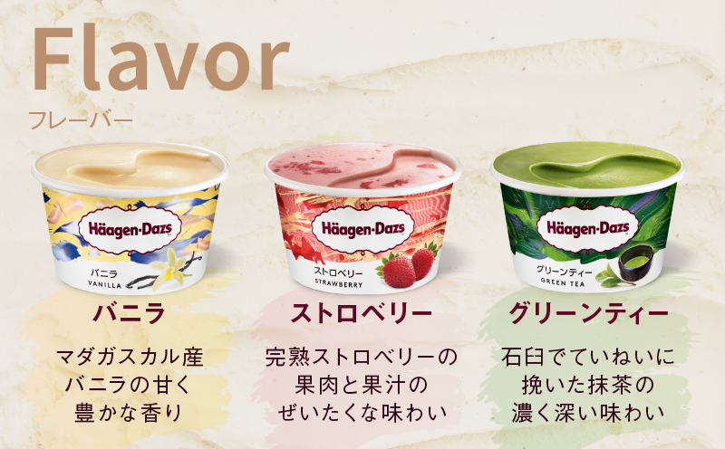 ãã¡ãŒã«ã§å±ããããŒã²ã³ããã ã¢ã€ã¹ã¯ãªãŒã ãã³ã³ãã亀æå°çšãã±ããã2å亀æïŒããŒãœã³ïŒã_H-rogift002