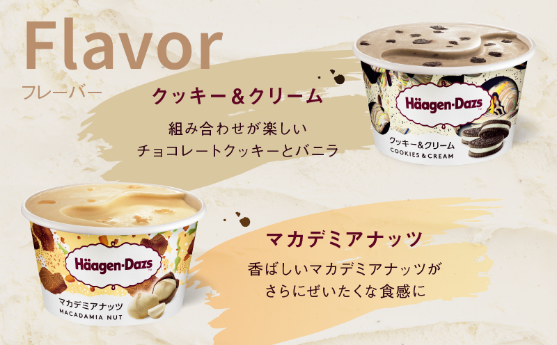 ãã¡ãŒã«ã§å±ããããŒã²ã³ããã ã¢ã€ã¹ã¯ãªãŒã ãã³ã³ãã亀æå°çšãã±ããã2å亀æïŒããŒãœã³ïŒã_H-rogift002