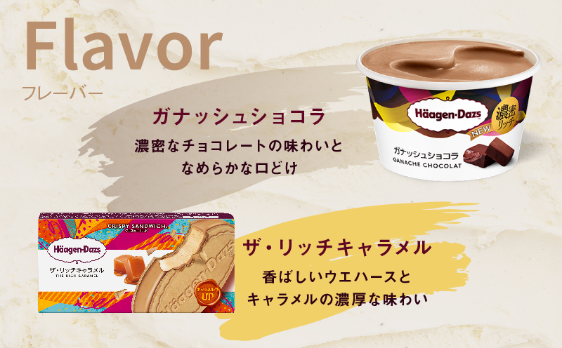 ãã¡ãŒã«ã§å±ããããŒã²ã³ããã ã¢ã€ã¹ã¯ãªãŒã ãã³ã³ãã亀æå°çšãã±ããã2å亀æïŒããŒãœã³ïŒã_H-rogift002