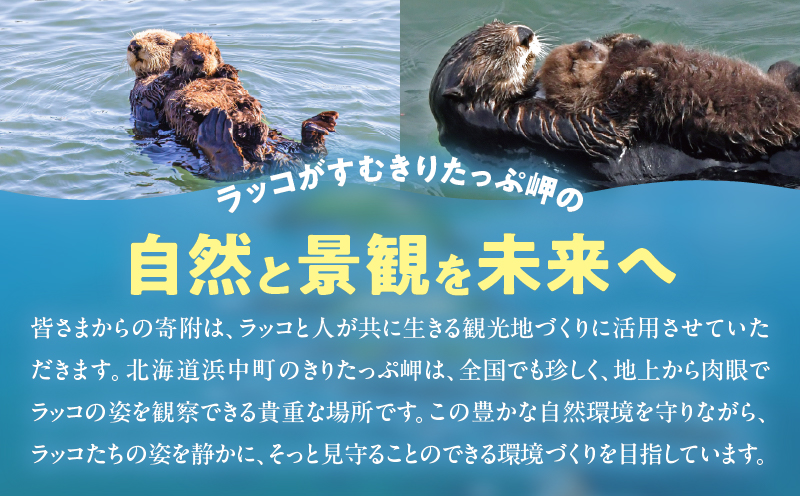 ラッコを見守る岬「きりたっぷ岬」周辺の環境整備　5000円分 返礼品なし_H0028-011