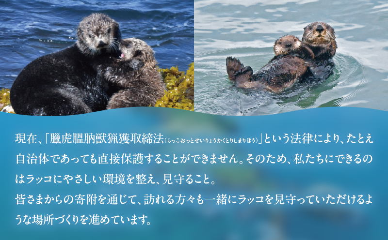 ラッコを見守る岬「きりたっぷ岬」周辺の環境整備　5000円分 返礼品なし_H0028-011