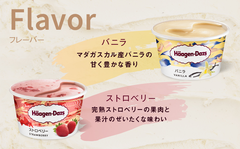 ãã¡ãŒã«ã§å±ããããŒã²ã³ããã ã¢ã€ã¹ã¯ãªãŒã ãã³ã³ãã亀æå°çšãã±ããã3å亀æïŒã»ãã³-ã€ã¬ãã³ïŒã_H-svgift003