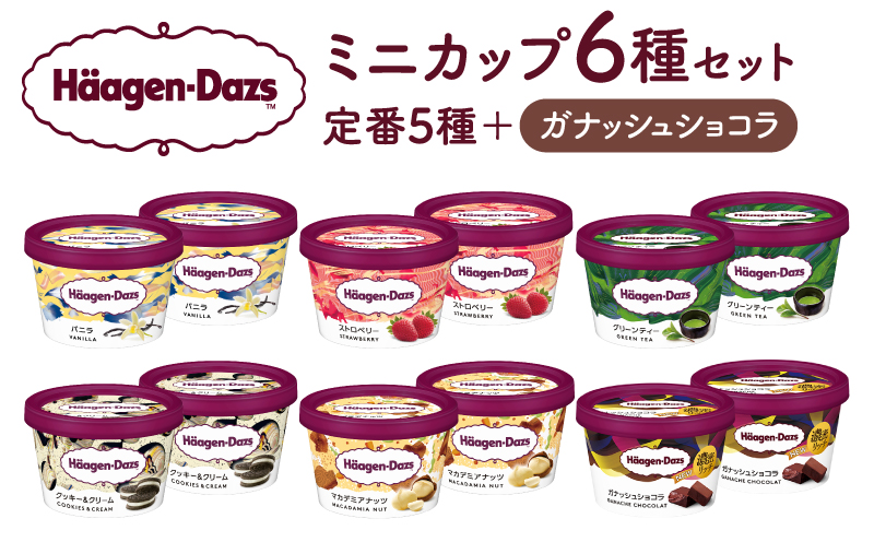 ハーゲンダッツ『ミニカップ12個セット（定番フレーバー＆新商品 ガナッシュショコラ）』アイスクリーム アイス スイーツ デザート_H0026-062