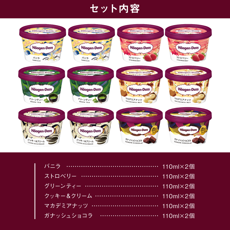 【着日指定できます】ハーゲンダッツ『ミニカップ12個セット（定番フレーバー＆新商品 ガナッシュショコラ）』アイスクリーム アイス スイーツ デザート_H0016-114