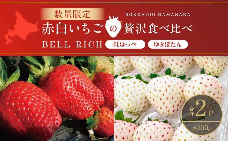 《数量限定》赤白いちごの贅沢食べ比べセット(合計2パック) BELL RICH_H0049-001