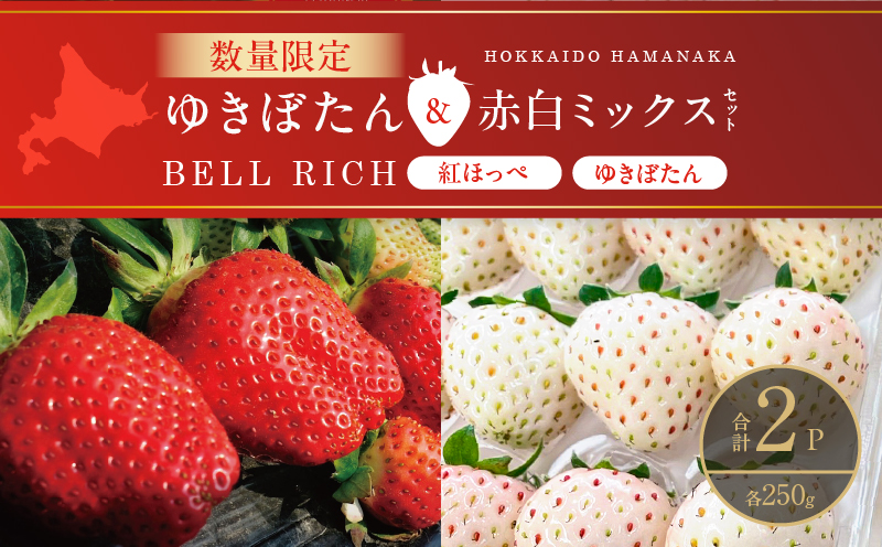 《数量限定》白いちご”ゆきぼたん”＆赤白ミックスセット(合計2パック) BELL RICH_H0049-003