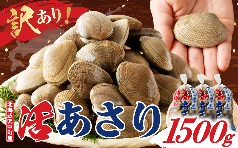 【訳あり】1月～3月発送分《先行予約・期間限定》浜中町産活あさり(500g×3袋セット)_H0023-050