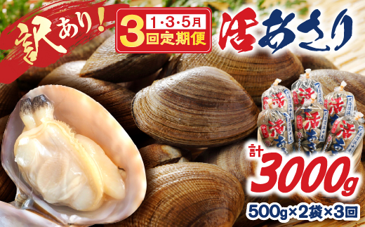 訳あり＜隔月1月・3月・5月お届け＞《先行予約・期間限定》浜中町産活あさり定期便　(500g×2袋×3回)総重量3kg_H0023-055