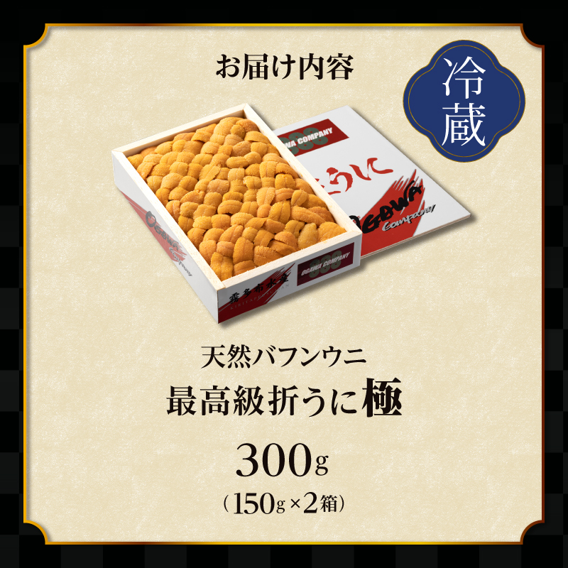 ≪プロ厳選≫最高級折うに(極)計300g うに ウニ 雲丹 折うに 海鮮 海産物 北海道 浜中町 ふるさと納税 人気 年内配送_H0014-111