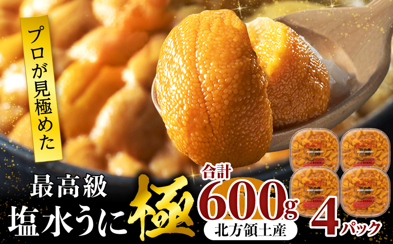 ≪プロ厳選≫最高級塩水うに(極)計600g うに ウニ 雲丹 塩水うに 海鮮 海産物 北海道 浜中町 ふるさと納税 人気_H0014-006