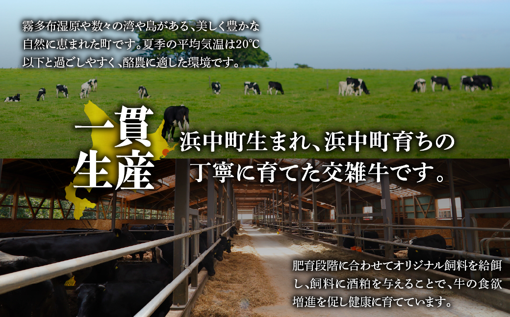 北海道浜中黒牛肩ロース(すき焼き用)約500g_H0019-104