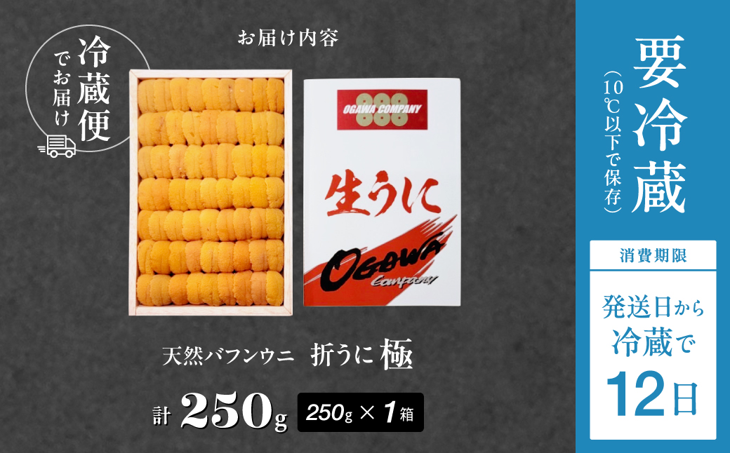 ≪プロ厳選≫最高級折うに(極)計250g うに ウニ 雲丹 折うに 海鮮 海産物 北海道 浜中町 ふるさと納税 人気_H0014-100