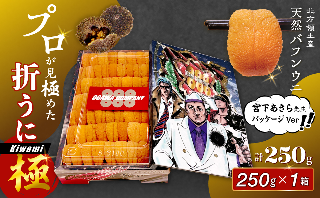≪プロ厳選≫最高級折うに(極)宮下あきら先生パッケージVer計250g うに ウニ 雲丹 折うに 海鮮 海産物 北海道 浜中町 ふるさと納税 人気_H0014-105