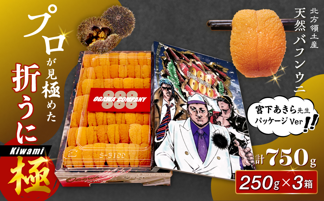 ≪プロ厳選≫最高級折うに(極)宮下あきら先生パッケージVer計750g うに ウニ 雲丹 折うに 海鮮 海産物 北海道 浜中町 ふるさと納税 人気_H0014-107