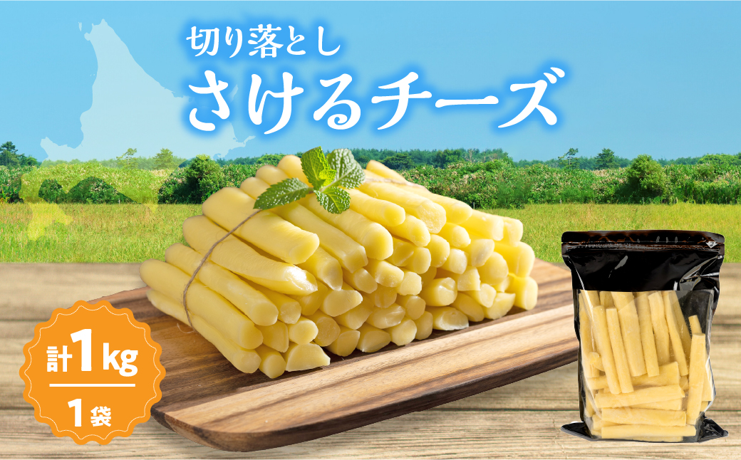 【おおともチーズ工房】期間限定《ふるさと納税限定》切り落としさけるチーズ(計1kg)_H0003-121