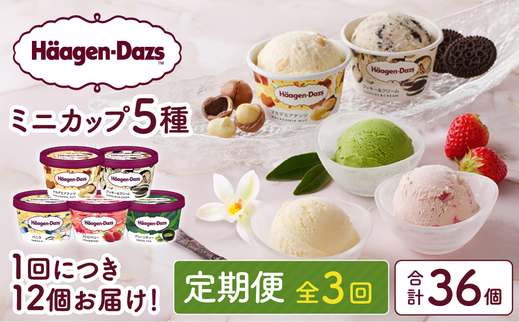 ＜全3回・連続＞お試し定期便！ミニカップ セット アイス スイーツ デザート_H0016-157