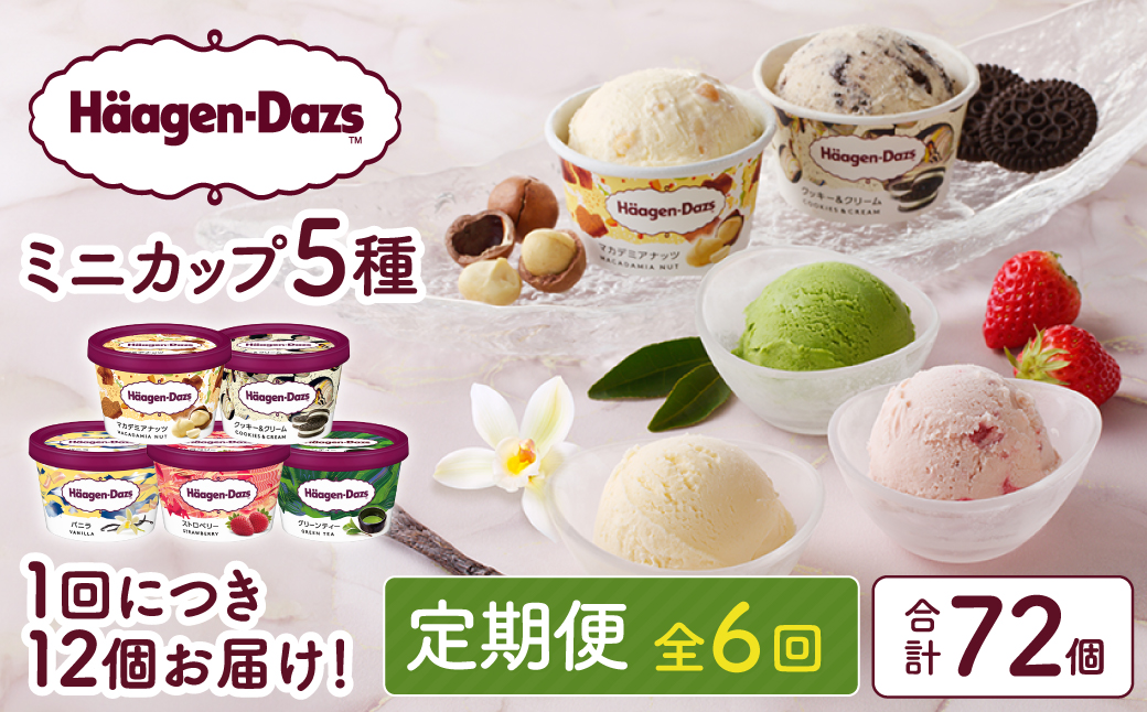 ＜全6回定期便・連続＞ハーゲンダッツ『定番ミニカップフレーバー5種セット(合計72個)』アイスクリーム アイス スイーツ デザート_H0016-158