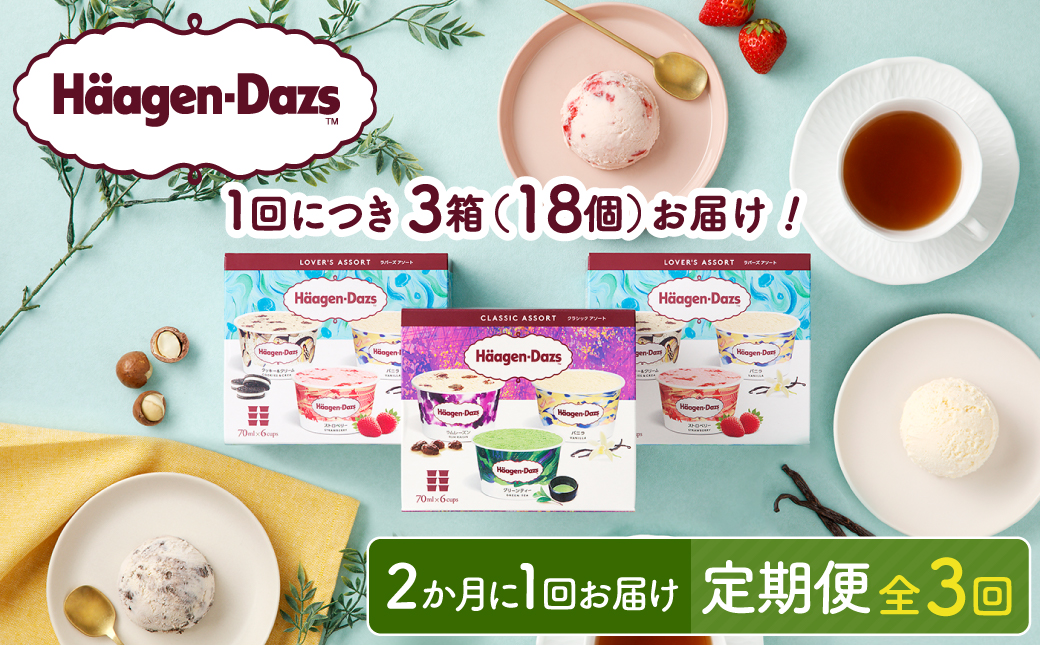 ＜全3回定期便・隔月＞ハーゲンダッツ『アソートボックス3箱セット(合計9箱)』アイスクリーム アイス スイーツ デザート_H0016-150