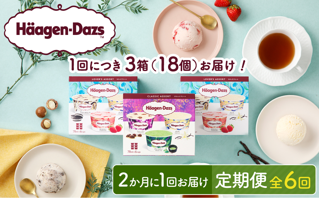 ＜全6回定期便・隔月＞ハーゲンダッツ『アソートボックス3箱セット(合計18箱)』アイスクリーム アイス スイーツ デザート_H0016-151