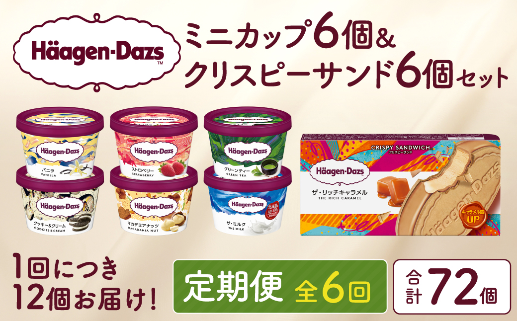 ＜全6回定期便・連続＞ハーゲンダッツ『ミニカップ＆クリスピーサンドセット(合計72個)』アイスクリーム アイス スイーツ デザート_H0016-138