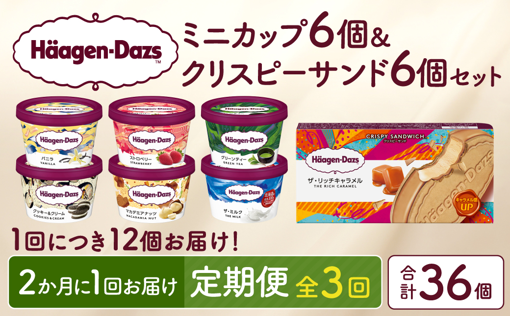 ＜全3回定期便・隔月＞ハーゲンダッツ『ミニカップ＆クリスピーサンドセット(合計36個)』アイスクリーム アイス スイーツ デザート_H0016-140