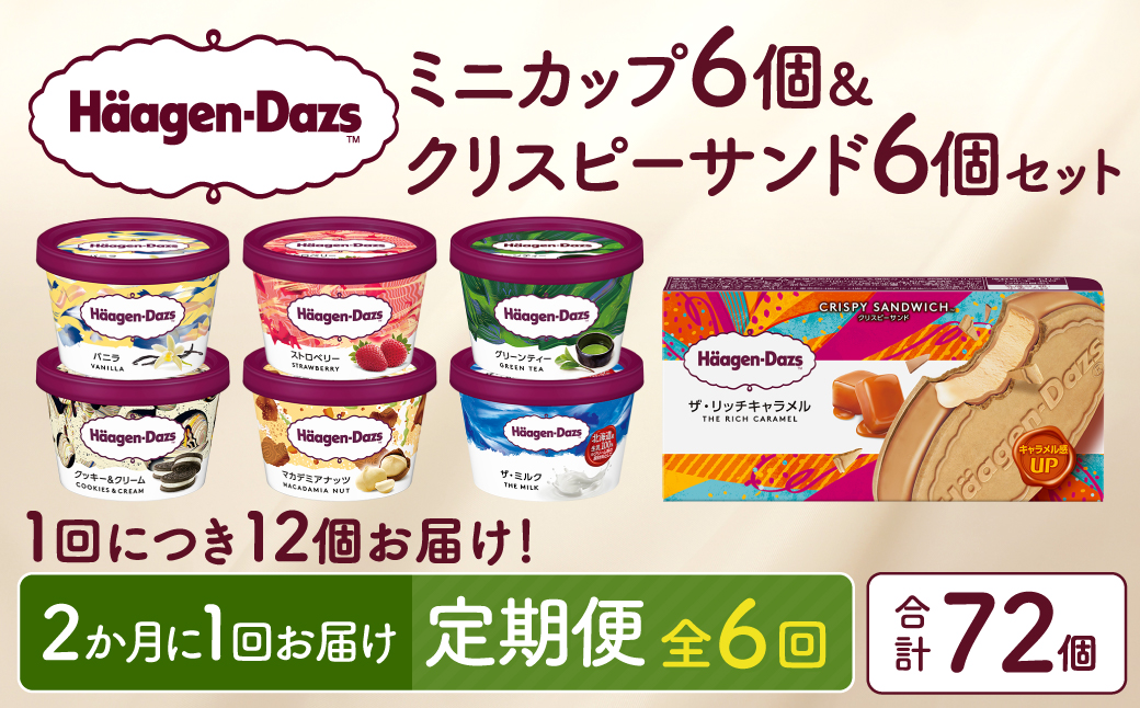 ＜全6回定期便・隔月＞ハーゲンダッツ『ミニカップ＆クリスピーサンドセット(合計72個)』アイスクリーム アイス スイーツ デザート_H0016-141