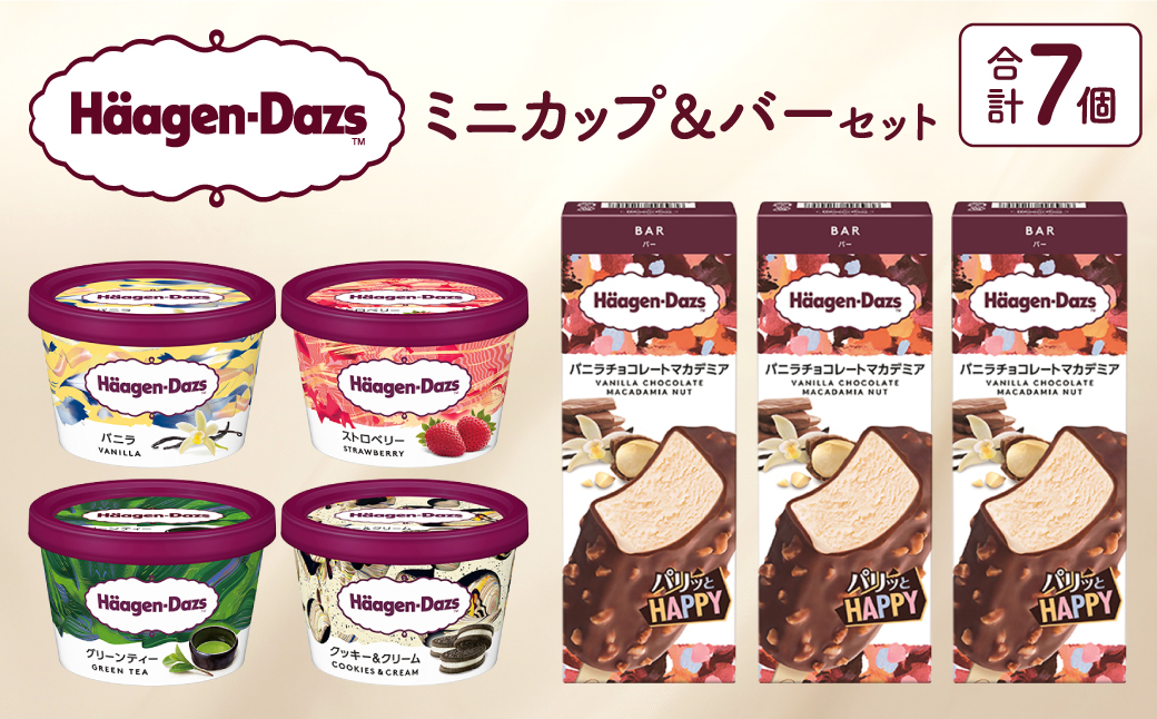 ハーゲンダッツ ミニカップ＆バーセット アイス スイーツ デザート_H0016-171