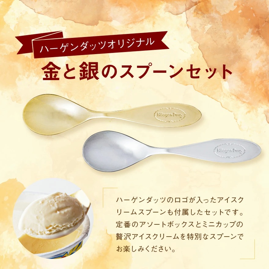 ハーゲンダッツ アイスクリームスプーン 黒 定期入れの - 食器