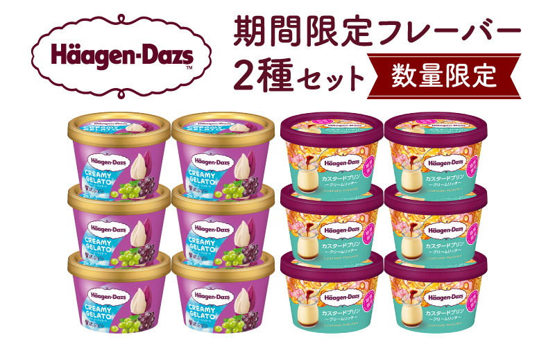 【数量限定】ハーゲンダッツ アイスクリーム ミニカップ 12個 （CREAMY GELATO 贅沢ぶどう＆カスタードプリン）アイス スイーツ デザート_H0016-168