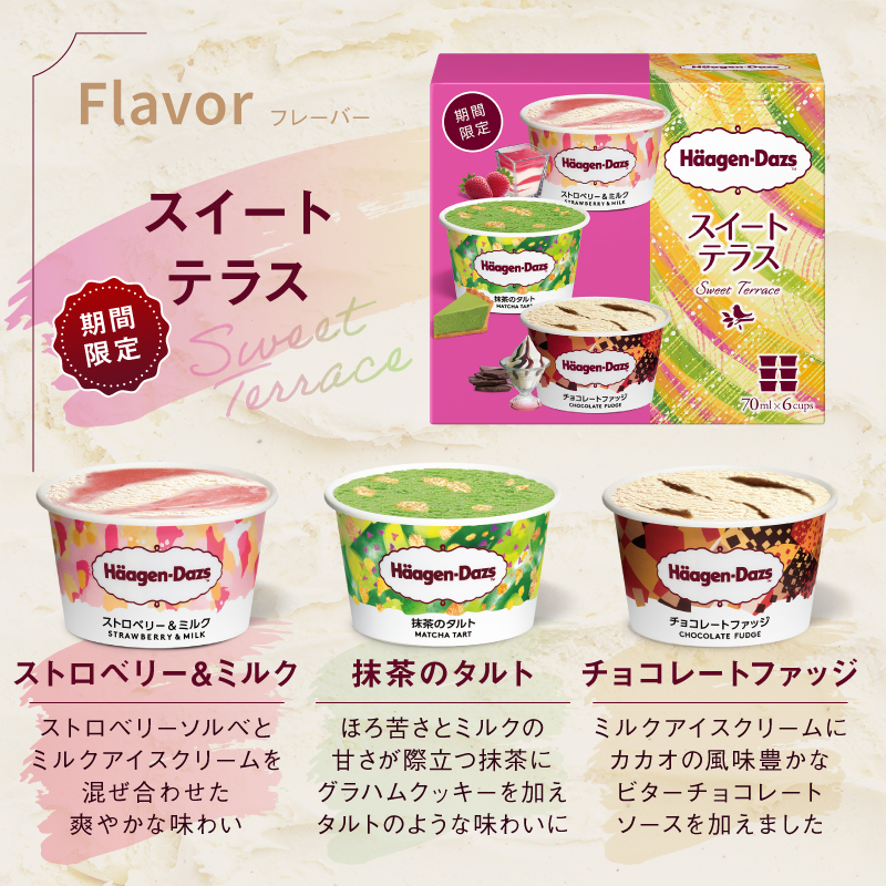 ハーゲンダッツ『アソートボックス3箱セット』アイスクリーム アイス スイーツ デザート_H0016-169
