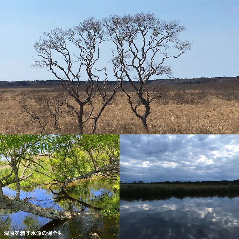 霧多布湿原を中心とする環境保全活動への寄附5,000円分_270101