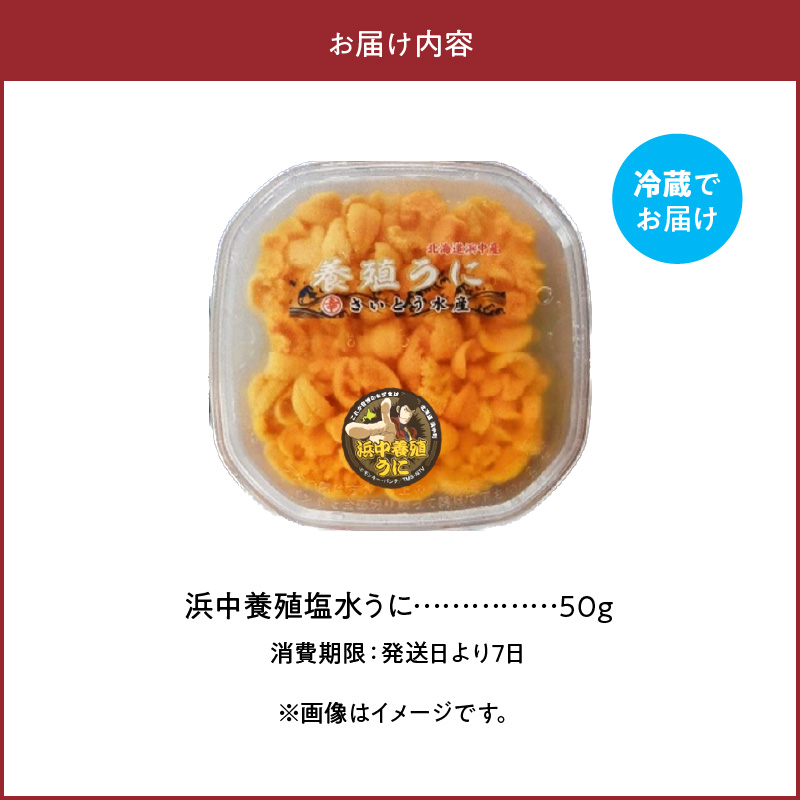 無添加「浜中町養殖塩水うに(計50g)」_H0038-001