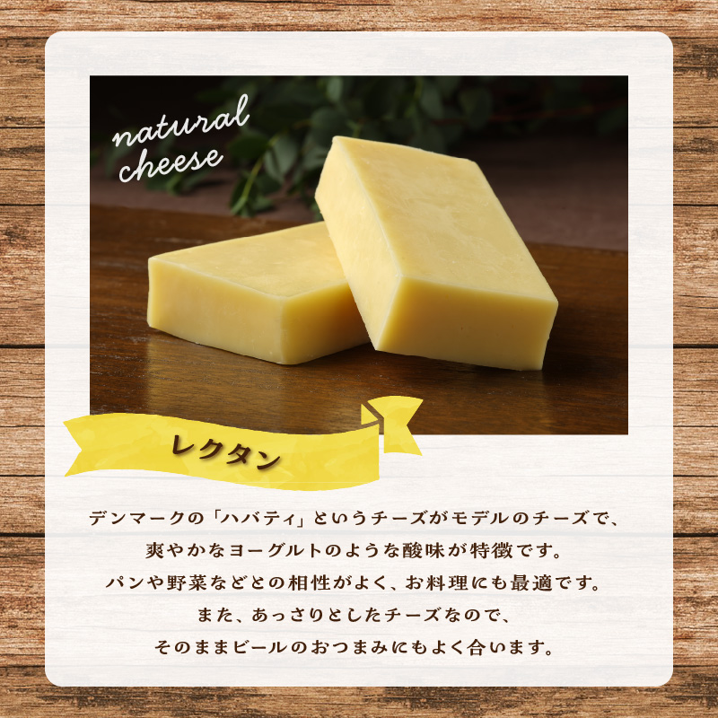 チーズ工房のナチュラルチーズ　レクタン100g×2_H0003-006