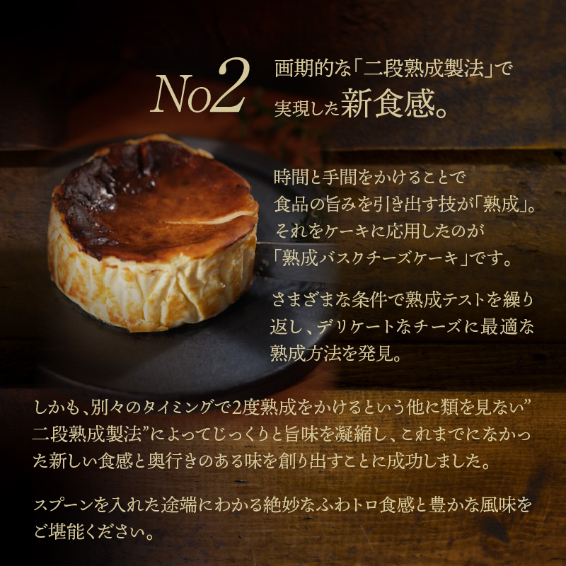 熟成バスクチーズケーキ_H0041-001