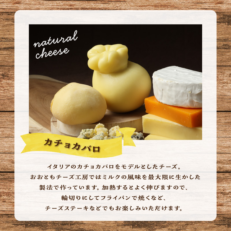チーズ工房のナチュラルチーズ　カチョカバロ180g×2_H0003-009