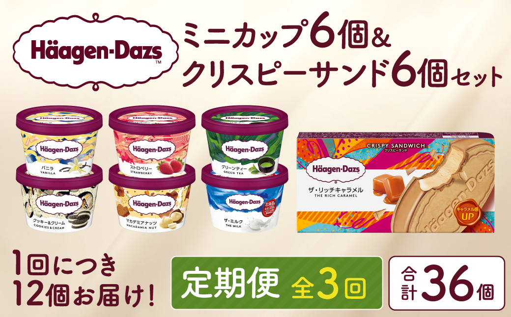 ＜全3回定期便・連続＞ハーゲンダッツ『ミニカップ＆クリスピーサンドセット(合計36個)』アイスクリーム アイス スイーツ デザート_H0016-137
