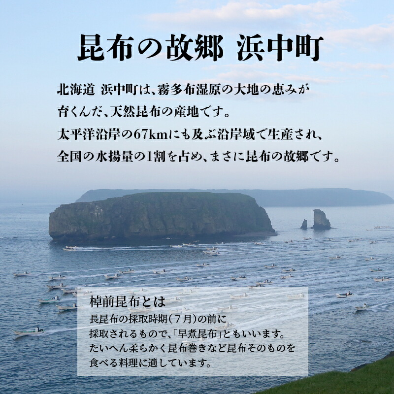 採取期間わずか3日！幻のさお前昆布の佃煮　4種セット　9個_030203