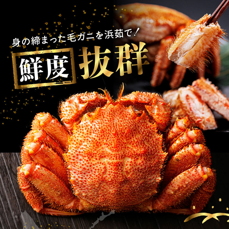 蛹玲オキ驕鍋肇 豈帙ぎ繝1譚ッ(700ス730g)_H0001-131