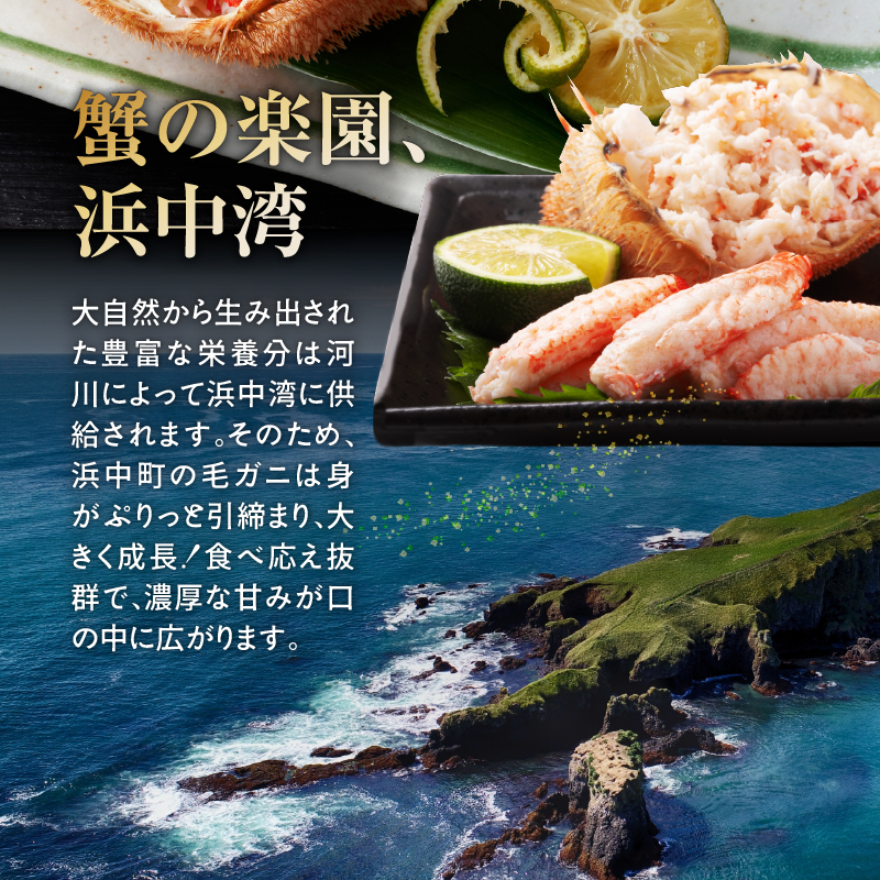 蛹玲オキ驕鍋肇 豈帙ぎ繝1譚ッ(700ス730g)_H0001-131