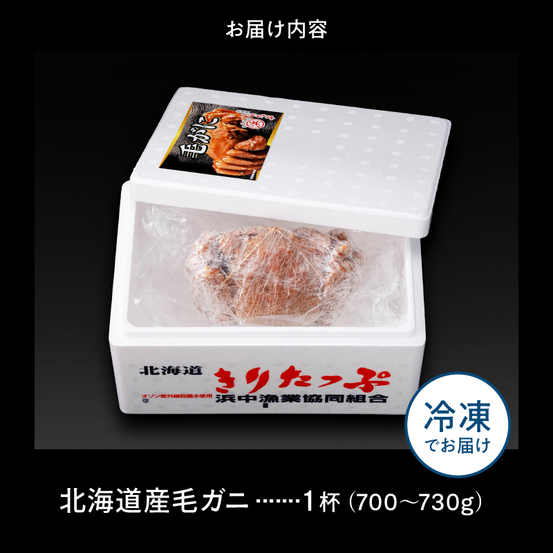 蛹玲オキ驕鍋肇 豈帙ぎ繝1譚ッ(700ス730g)_H0001-131