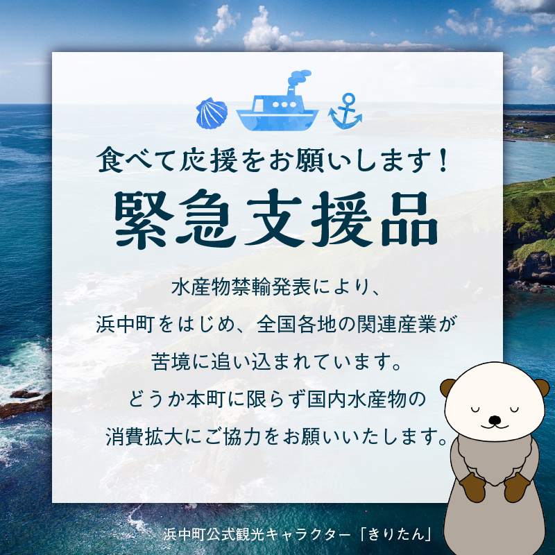 【緊急支援品】北海道産 ほたて貝柱(大)　計600g_H0001-043